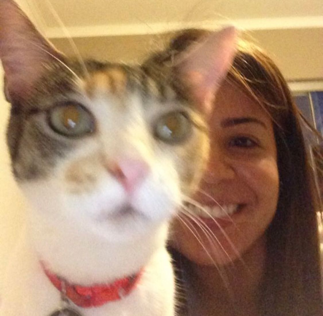 foto de perfil de um cliente